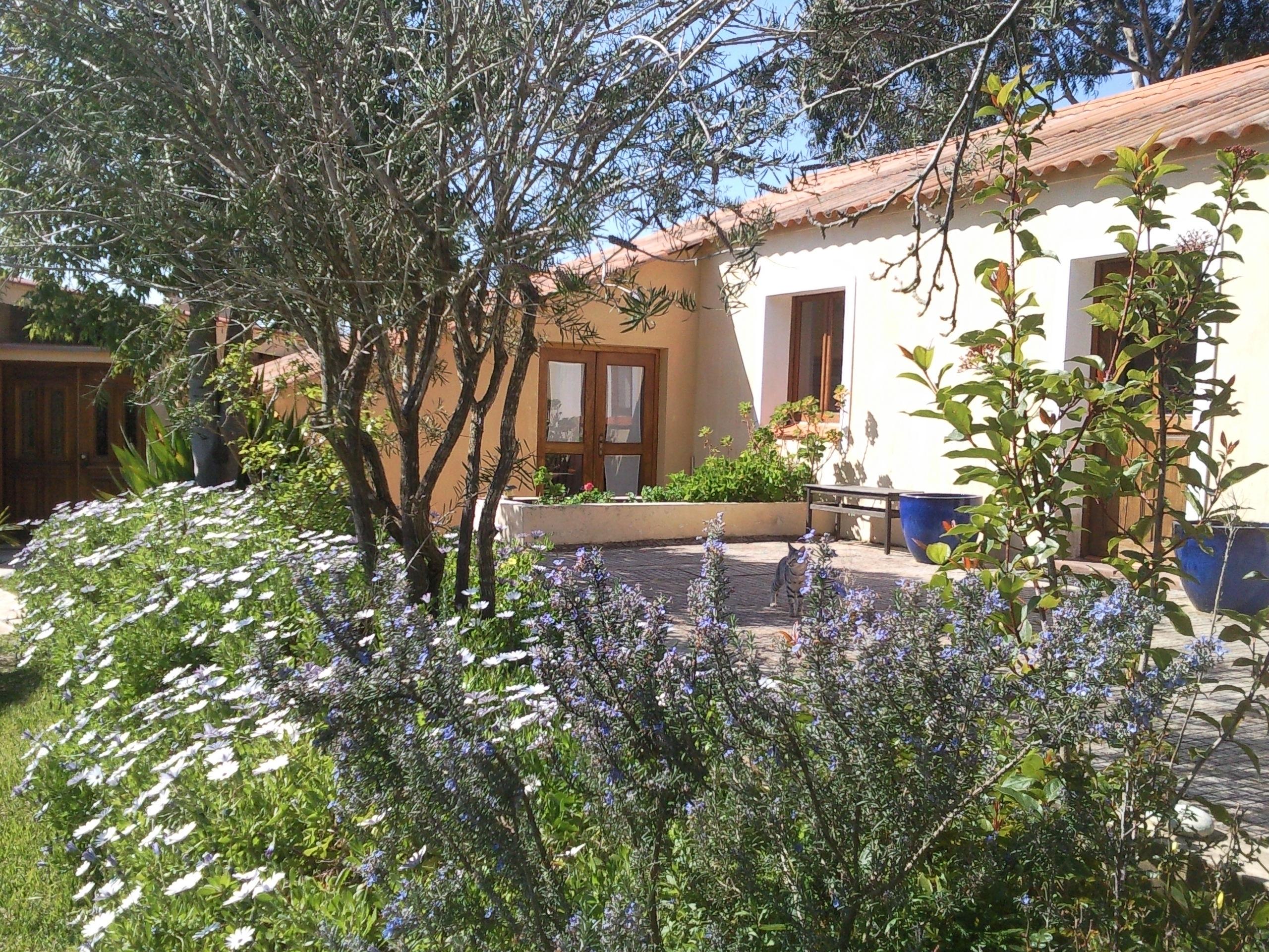 Quinta Pedagogica Da Samoqueirinha - Duna Parque Resorts & Hotels Vila Nova de Milfontes Exterior foto